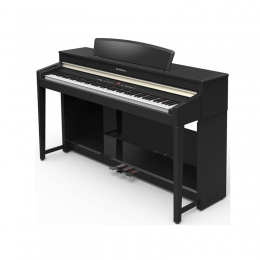 Изображение продукта Kurzweil Andante CUP-120 BP цифровое пианино 