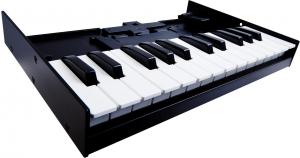 Roland K-25m миди клавиатура  - 2