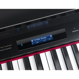 Roland GP609 PE цифровой рояль  - 7